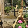 上野公園散策 -15