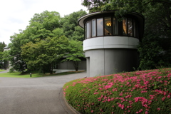 新緑散歩その5