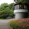 新緑散歩その5