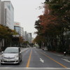 都内にも秋が
