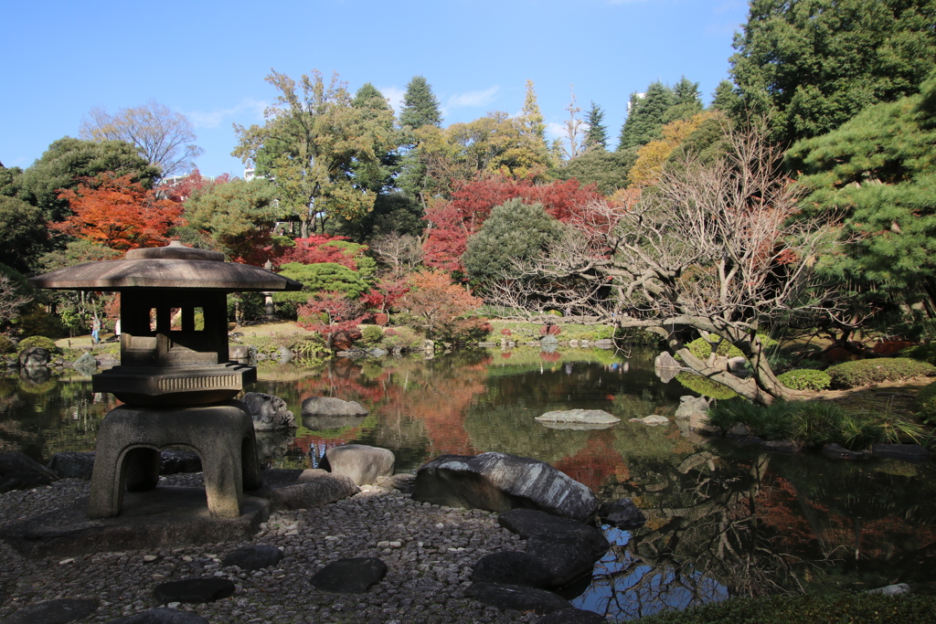 紅葉を追いかけて、３