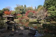 紅葉を追いかけて、３