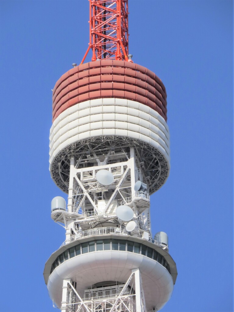 東京タワーを見上げて-3