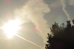キノコ雲