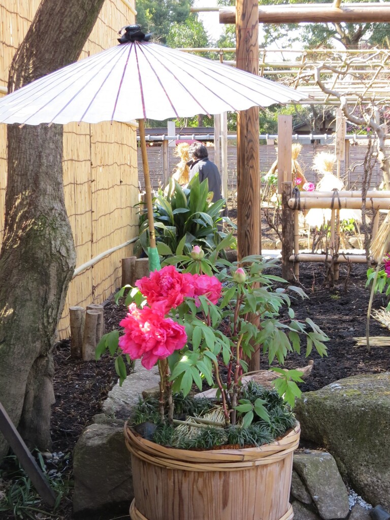 上野公園散策 -17