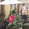 上野公園散策 -17