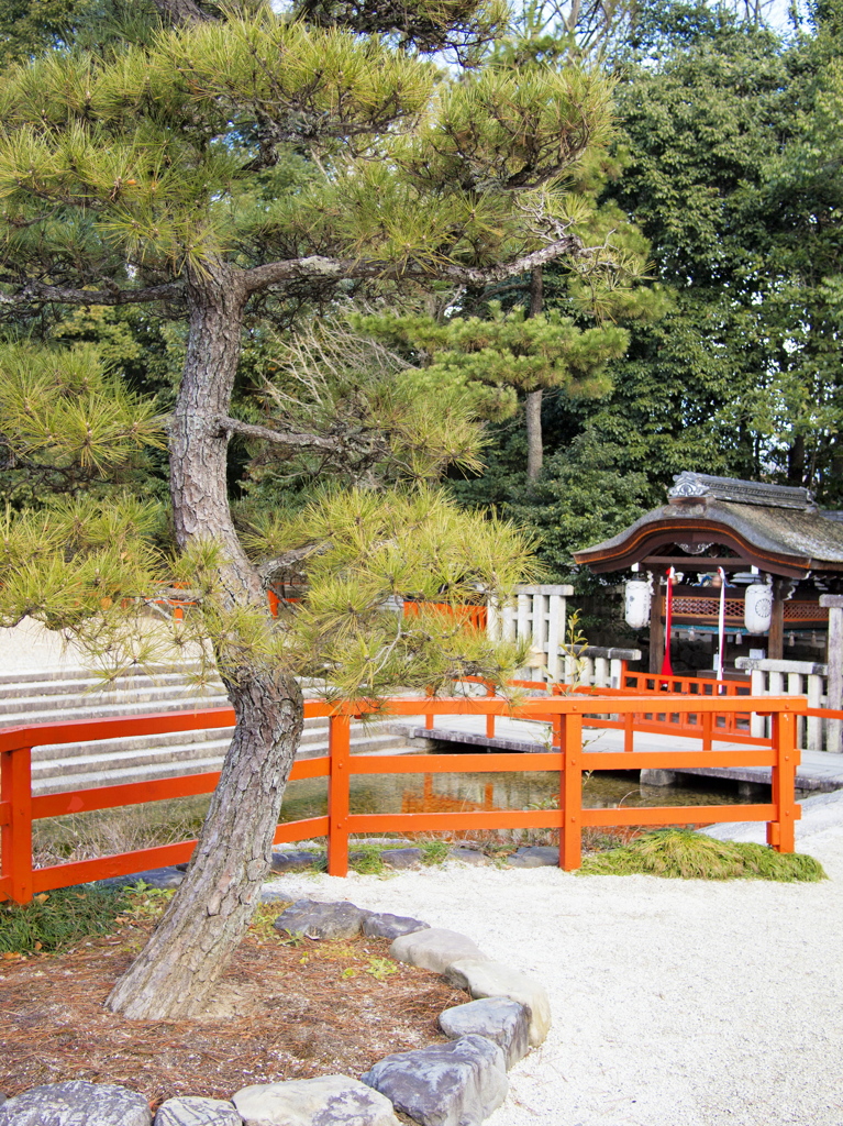 下鴨神社にて