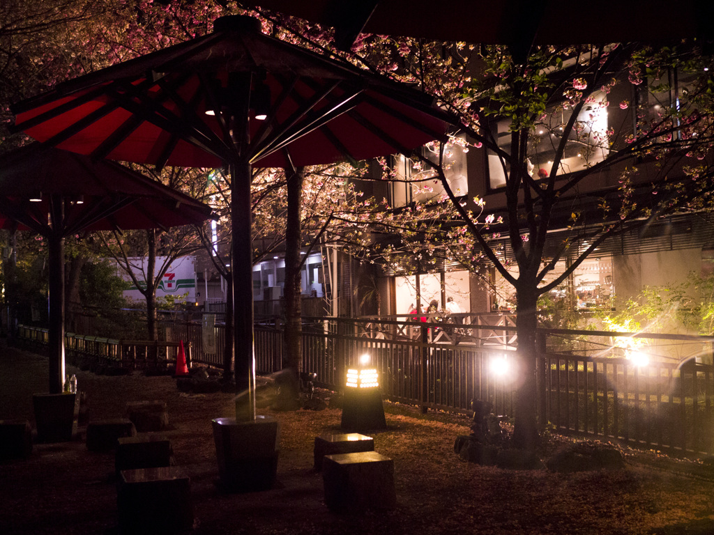 祇園の夜は更けていく…