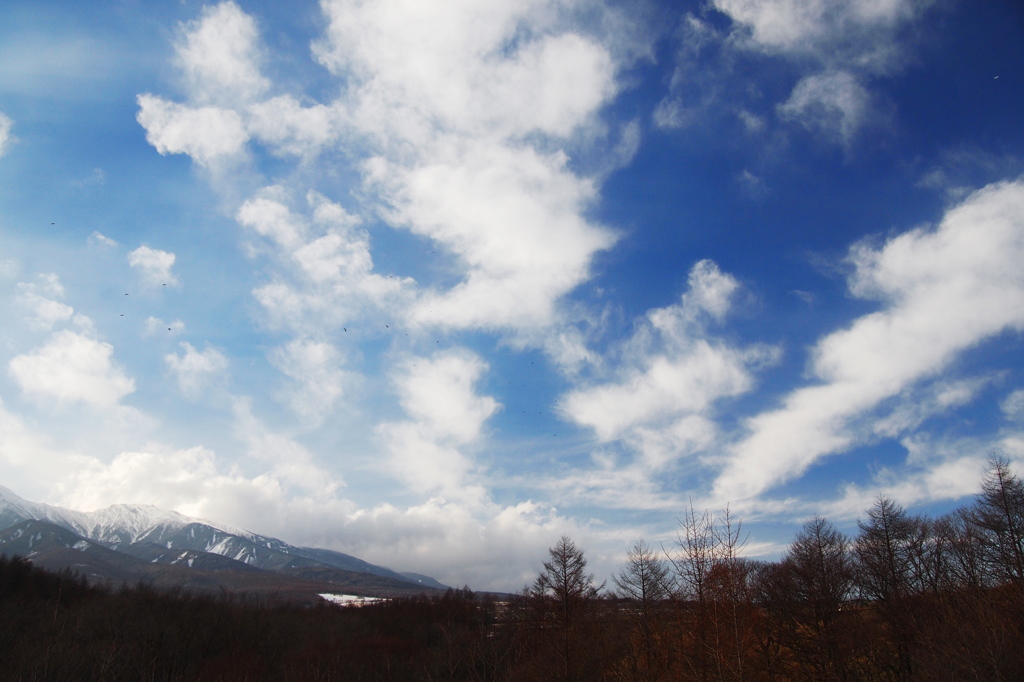 遠くて近い空