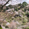 中千本の風景