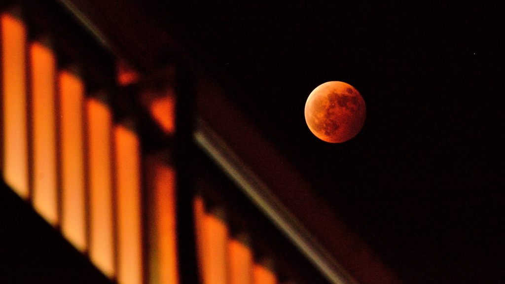 Ｂｌｏｏｄ ｍｏｏｎ