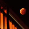 Ｂｌｏｏｄ ｍｏｏｎ