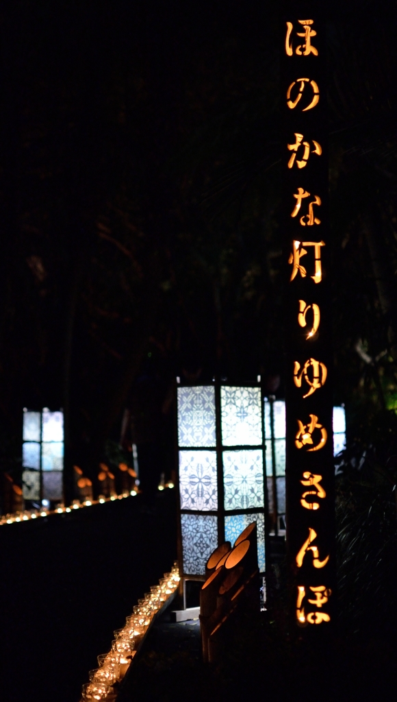 灯篭祭り (26)