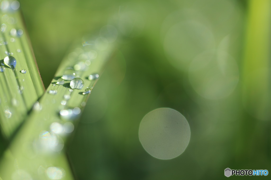 雨滴