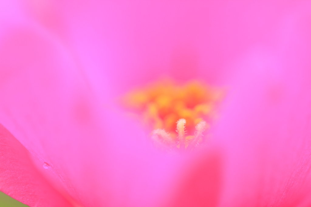 かくれんぼ