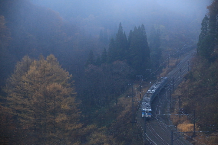 朝もやの中を走る