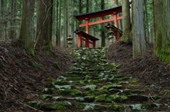 鳥居まで