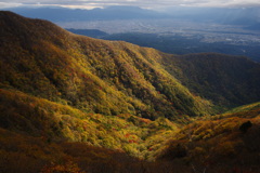 紅葉