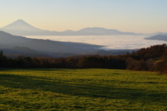 高原の朝