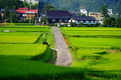 駆け抜ける道。