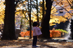 いつもの公園（秋）