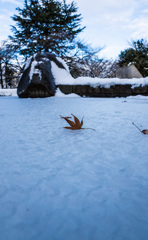 このあとカメラを水没寸前。