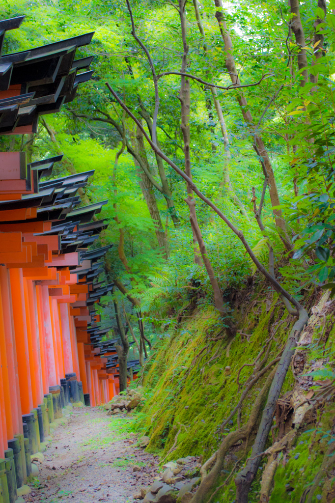 稲荷山