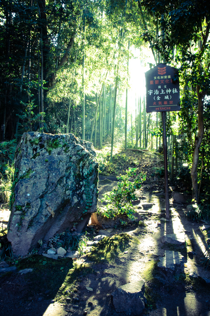 宇治上神社