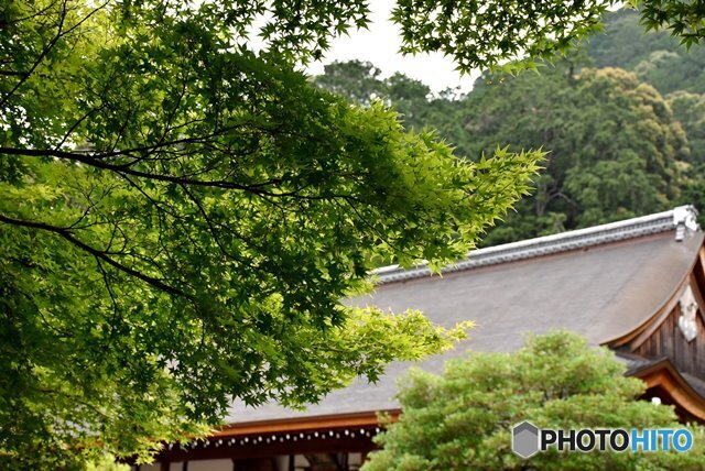 小倉山 二尊院　３