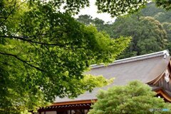 小倉山 二尊院　３