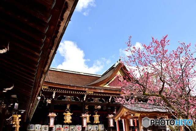 北野天満宮　５