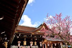 北野天満宮　５