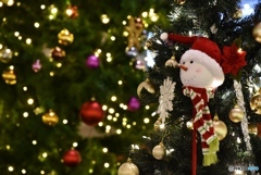 クリスマスツリー