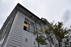 西条酒まつり５