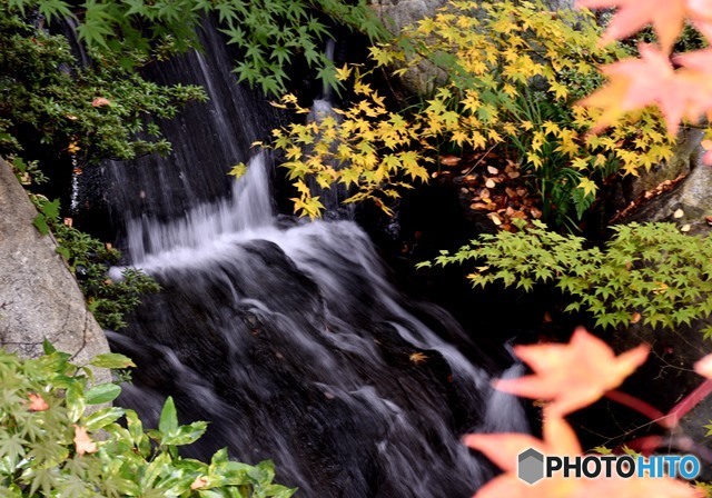 三景園の紅葉　１０