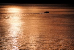 エデンの海　２