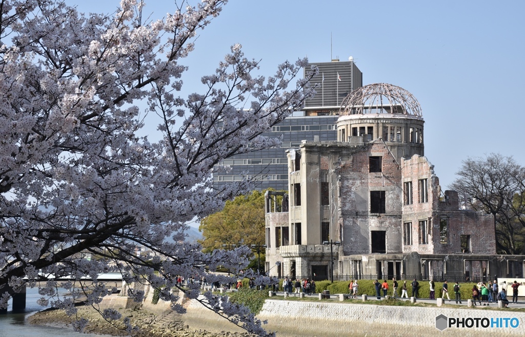 平和記念公園の桜　３