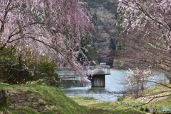 甲山ふれあいの里　４