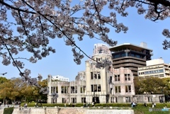 平和記念公園の桜　５