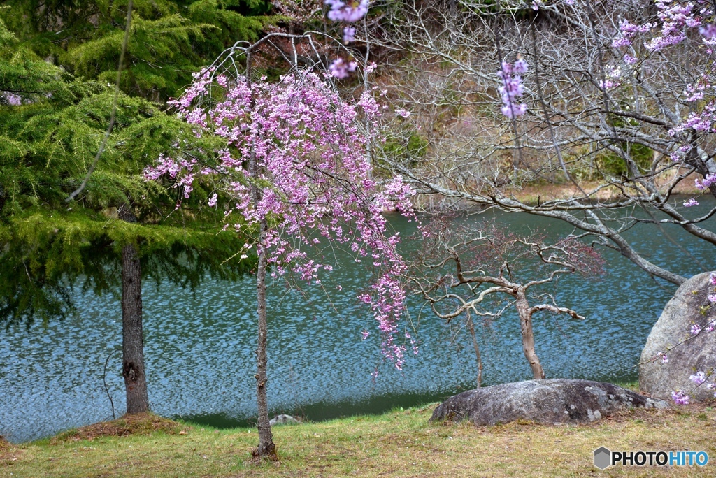 甲山ふれあいの里　６