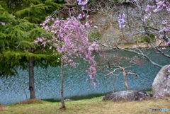 甲山ふれあいの里　６