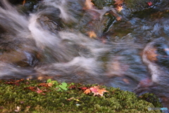 三景園の紅葉　４