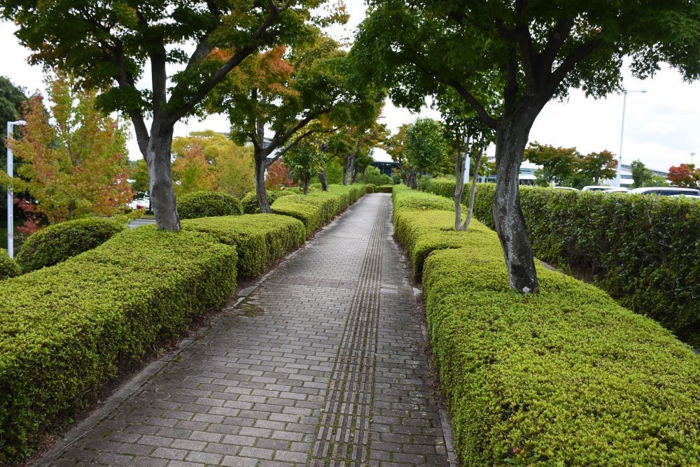 広島空港にて 12