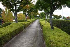 広島空港にて 12