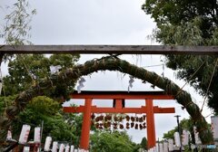 茅の輪くぐり　３