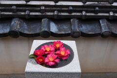 阿伏兎海岸　２