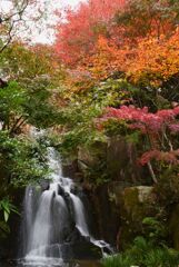 三景園　2022秋　６