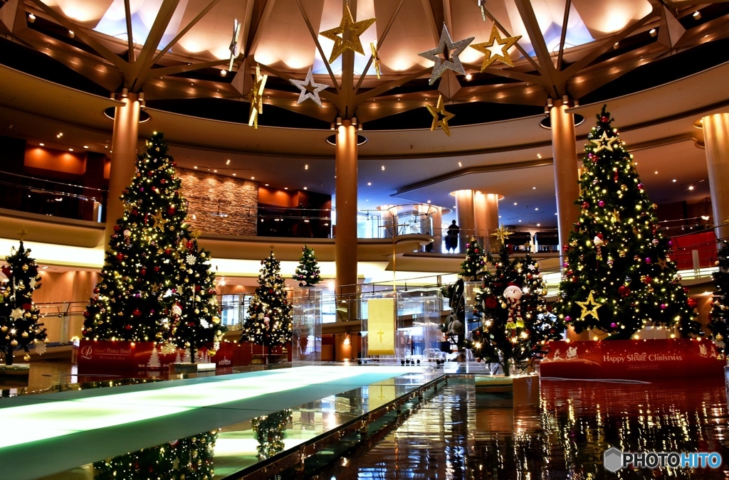 クリスマスツリー　４