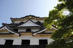 彦根城　Ⅱ