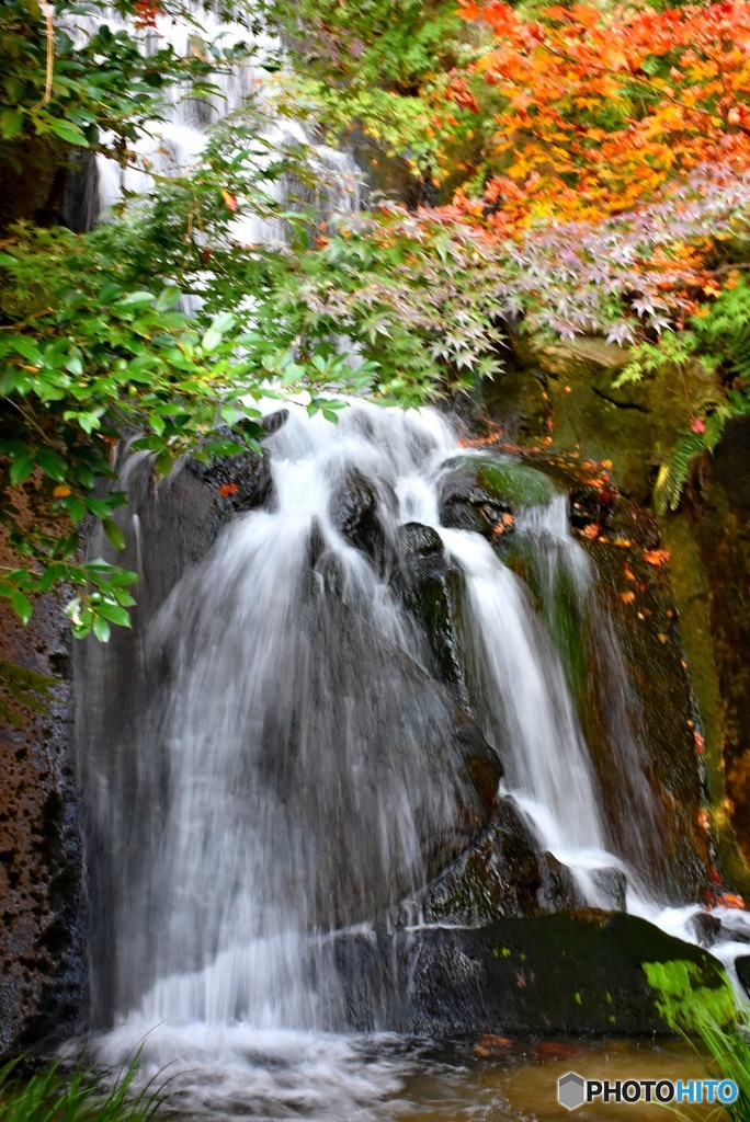 三景園の紅葉４